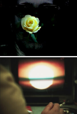 oeuvre 26 rose jaune et plus